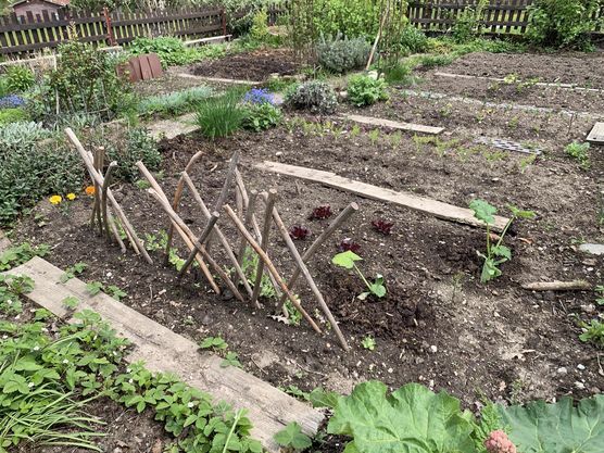 Bild von Dorfmädle Bild von Dorfmädle