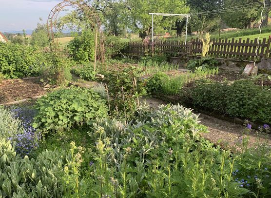 Bild von Dorfmädle Bild von Dorfmädle