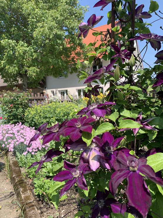 Bild von Dorfmädle Bild von Dorfmädle