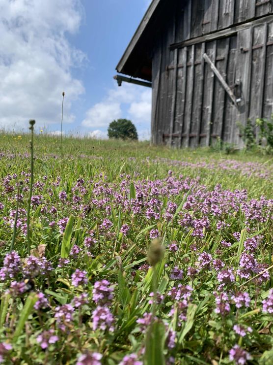 Bild von Dorfmädle Bild von Dorfmädle