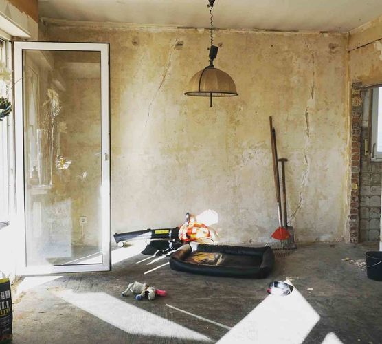 Bild von palmgrün Bild von palmgrün