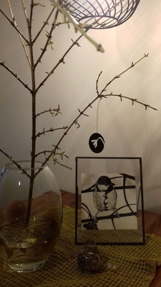 Dieses tolle Bild habe Dieses tolle Bild habe