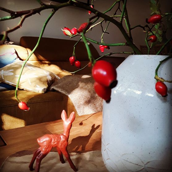 Einen schönen Mittwoch für Einen schönen Mittwoch für