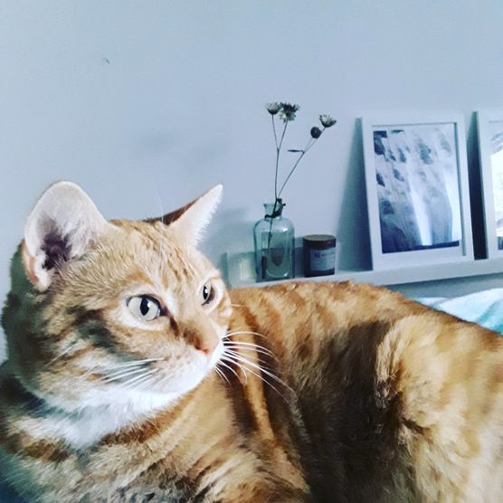 Schönen kuscheligen Mittwochabend für Schönen kuscheligen Mittwochabend für