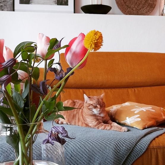 Lilli ist sooo müde Lilli ist sooo müde