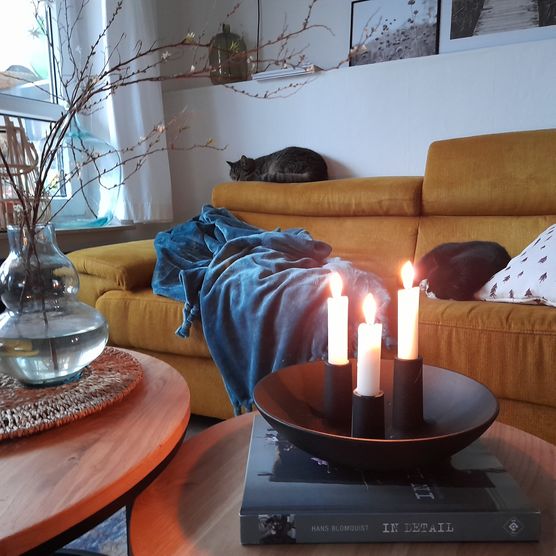 Lotte hat es schon Lotte hat es schon