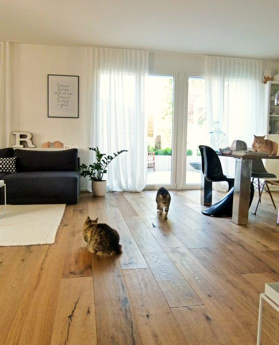 frühmorgens frühmorgens