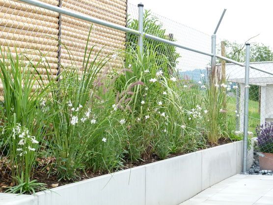 Neubau und mein Gemüsegarten 😟 Neubau und mein Gemüsegarten 😟