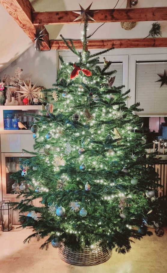 Bild von kanoe Bild von kanoe