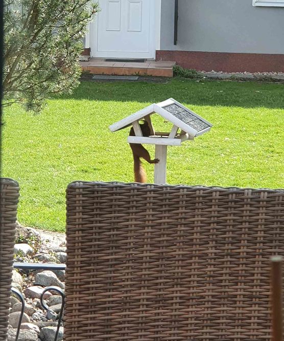 Bild von schnati Bild von schnati