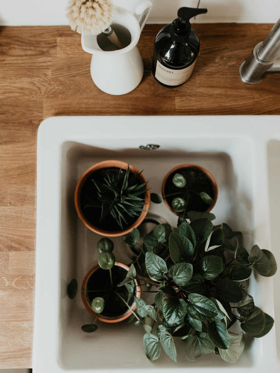 Bild von anaschuller Bild von anaschuller