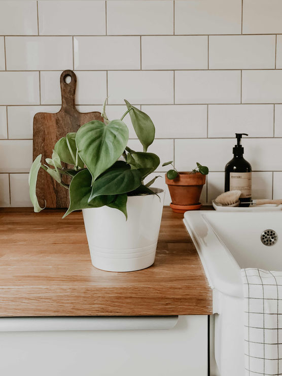 Bild von anaschuller Bild von anaschuller