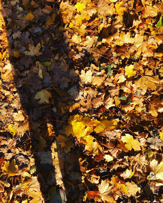 Bild von Nina Müller2 Bild von Nina Müller2