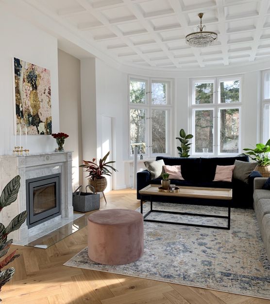 Urban Jungle - Unser Urban Jungle - Unser