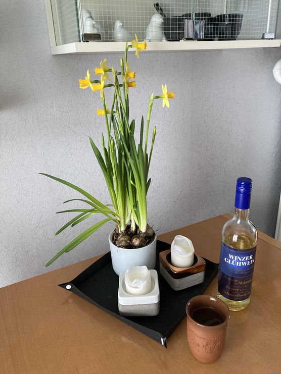 Bild von Angi Bild von Angi