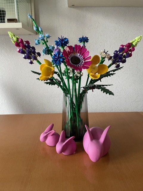 Bild von Angi Bild von Angi