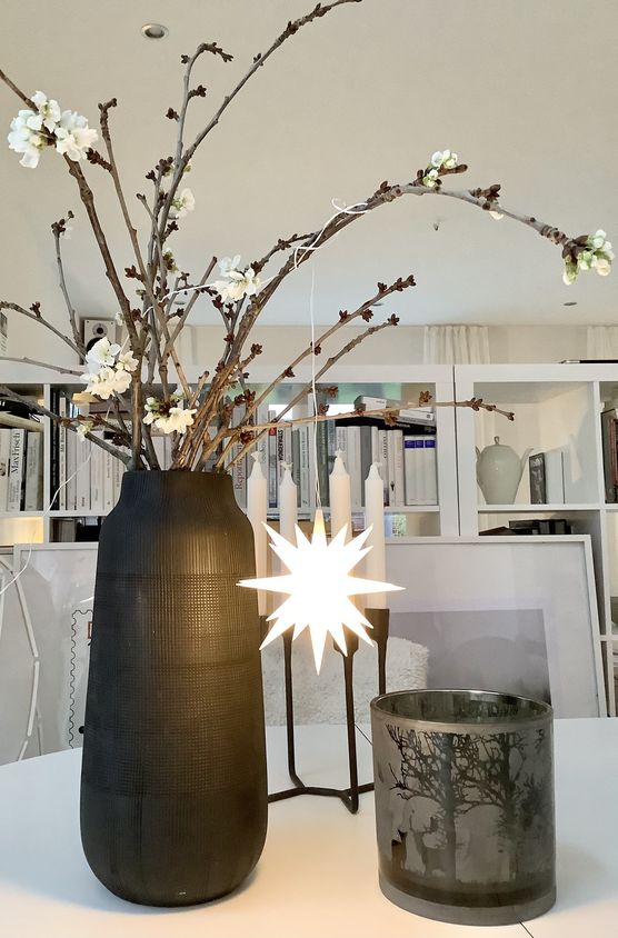 Bild von Iphigenie Bild von Iphigenie