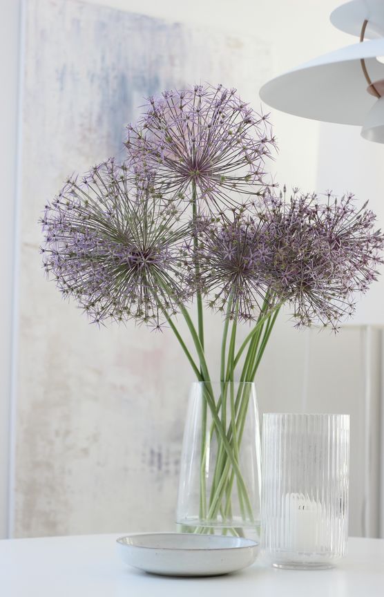 Spende einer sehr netten Spende einer sehr netten