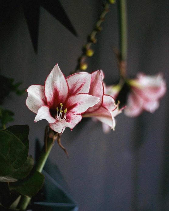 Bild von interior.tam.tam Bild von interior.tam.tam