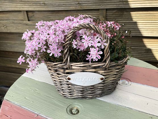 Bild von JaneHH Bild von JaneHH