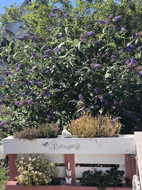 Bild von JaneHH Bild von JaneHH