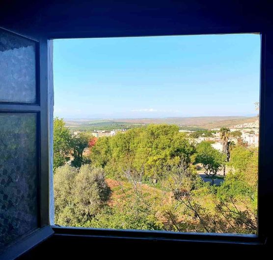 Bild von Mrs.Taffi Bild von Mrs.Taffi