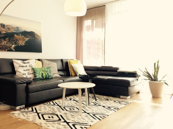 Neuer Teppich Neuer Teppich