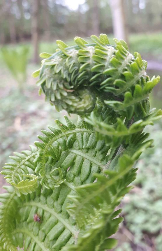 Bild von unacasa Bild von unacasa