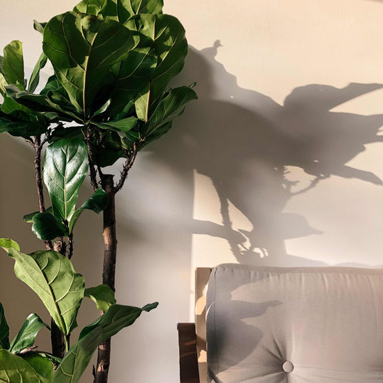 Bild von barfusszone Bild von barfusszone