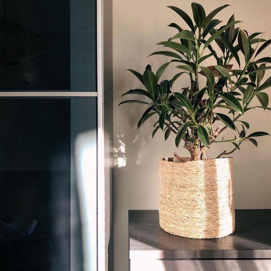 Bild von barfusszone Bild von barfusszone