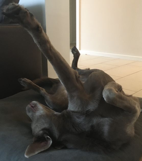 Wie man sich bettet, Wie man sich bettet,