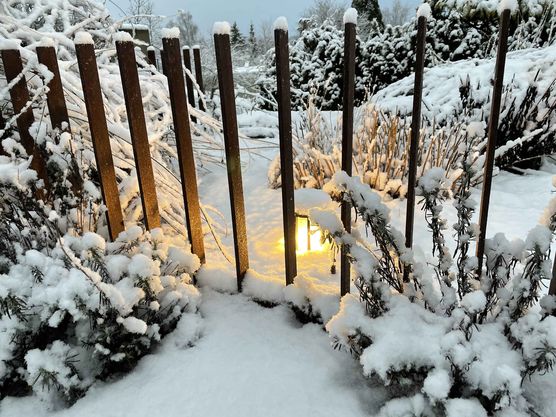 Bild von Annibunnybanani Bild von Annibunnybanani