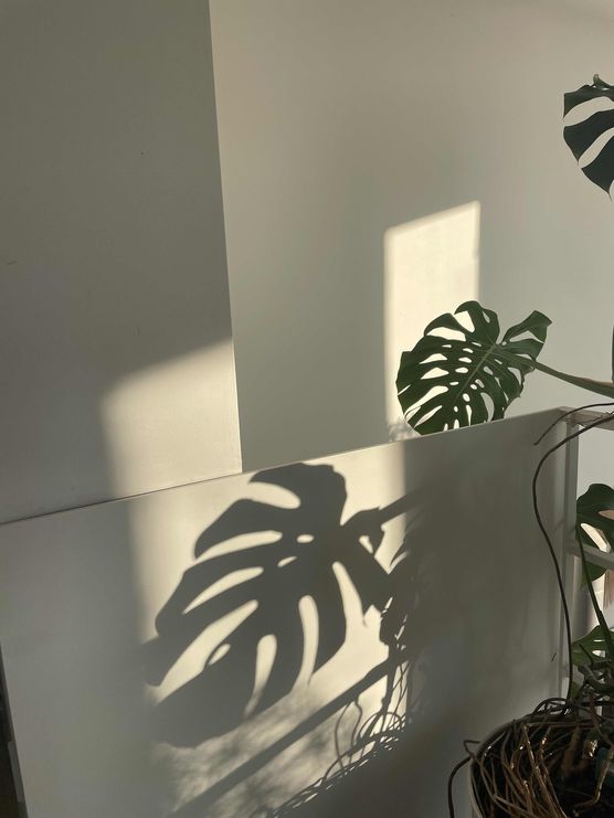 Bild von Annibunnybanani Bild von Annibunnybanani