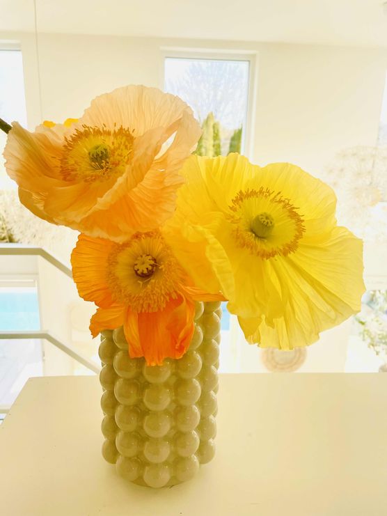 Bild von Annibunnybanani Bild von Annibunnybanani