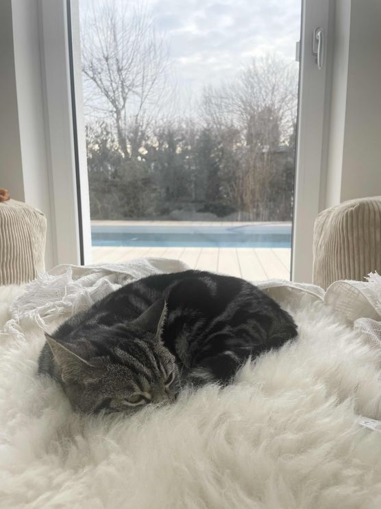 Bild von Annibunnybanani Bild von Annibunnybanani