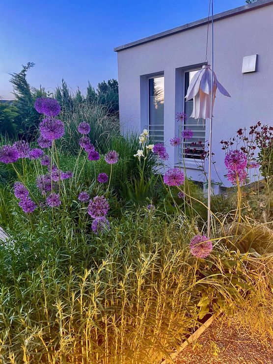 Bild von Annibunnybanani Bild von Annibunnybanani