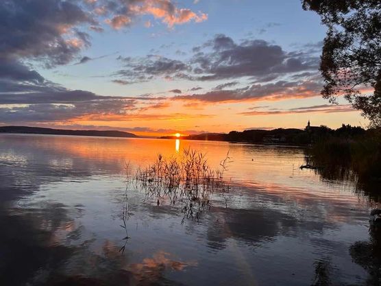 Bild von Annibunnybanani Bild von Annibunnybanani