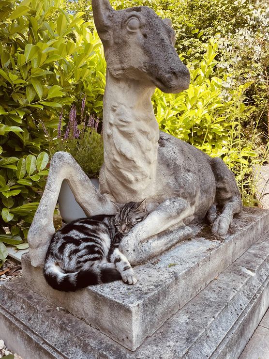 Bild von Annibunnybanani Bild von Annibunnybanani