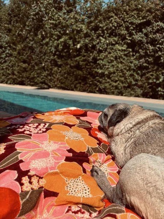 Bild von Annibunnybanani Bild von Annibunnybanani