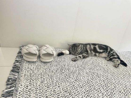 Bild von Annibunnybanani Bild von Annibunnybanani