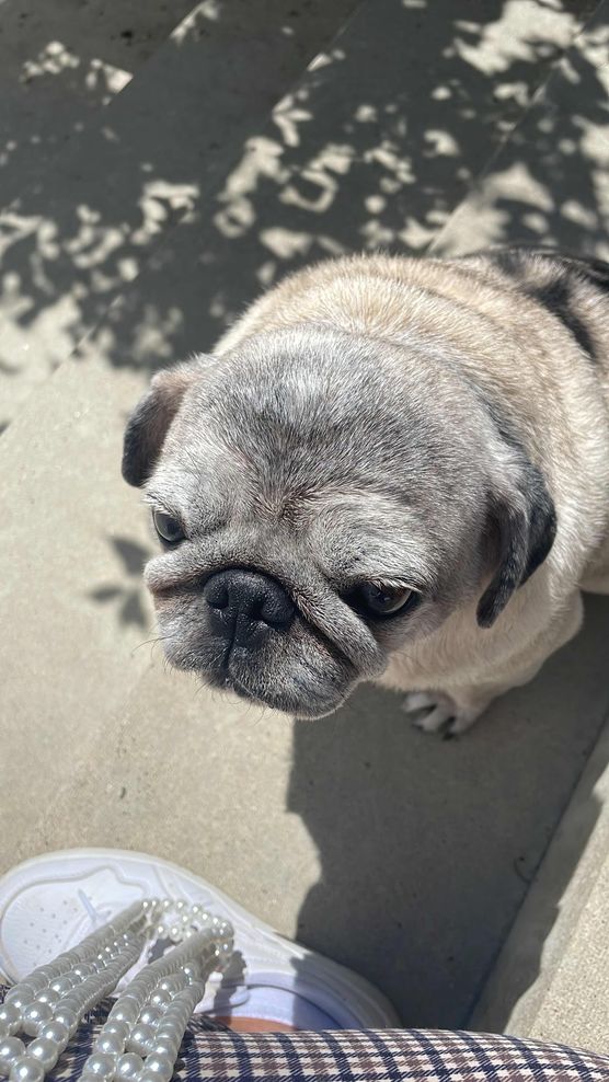 Bild von Annibunnybanani Bild von Annibunnybanani