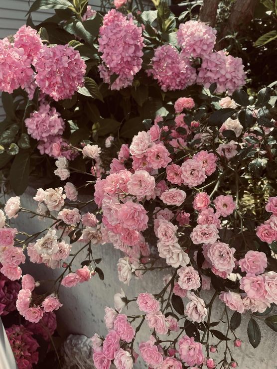 Bild von Annibunnybanani Bild von Annibunnybanani