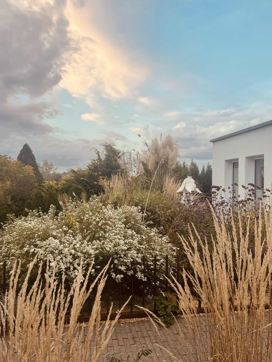 Bild von Annibunnybanani Bild von Annibunnybanani