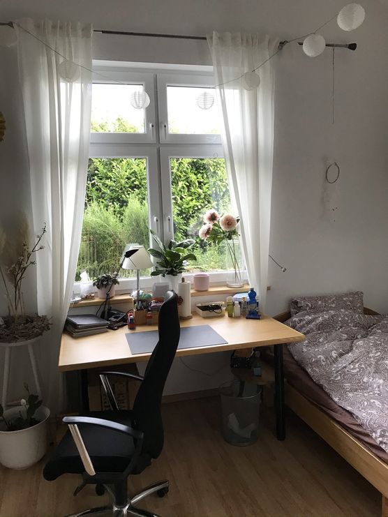 Im letzten Jahr haben Im letzten Jahr haben