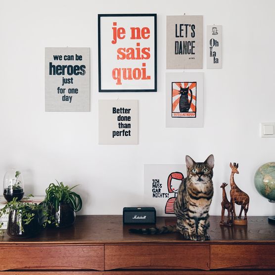 Ihr wollt Bilder, Ihr Ihr wollt Bilder, Ihr