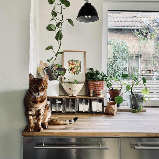 Bild von papelami Bild von papelami