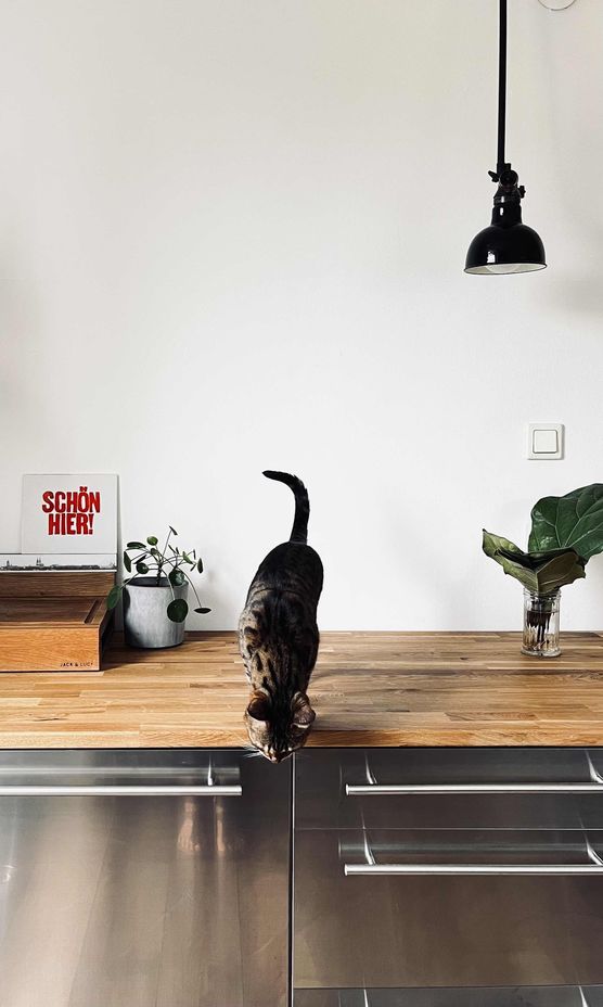 Bild von papelami Bild von papelami