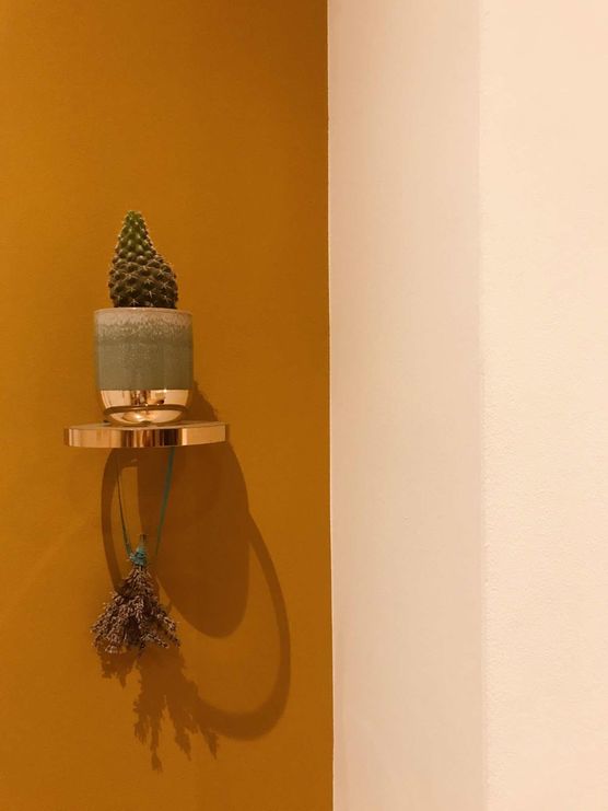 Bild von hannerl_hello Bild von hannerl_hello