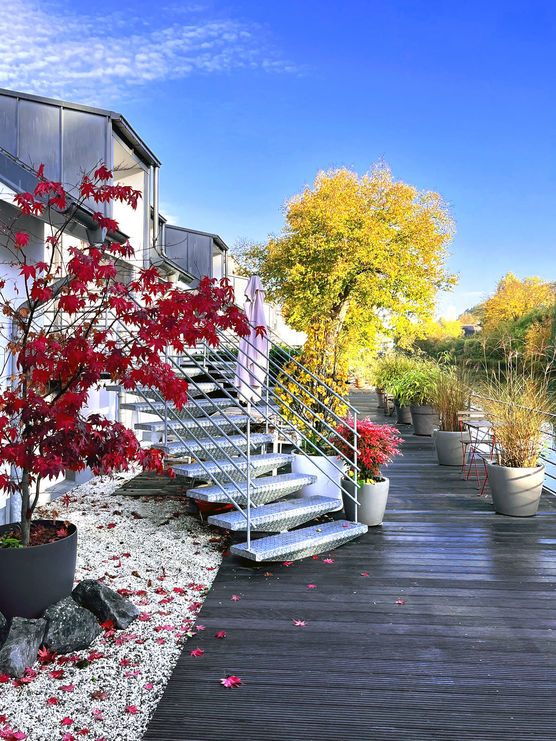 Ohne viele Worte ... Ohne viele Worte ...