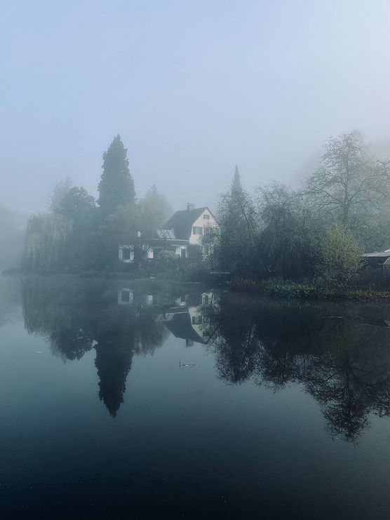 Mein Blick aus dem Mein Blick aus dem